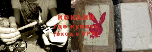 трава Вязьма