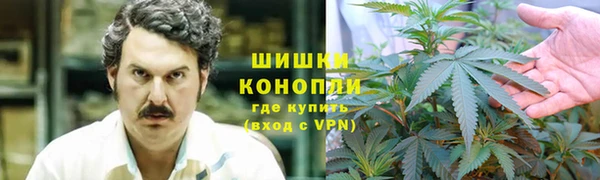 трава Вязьма