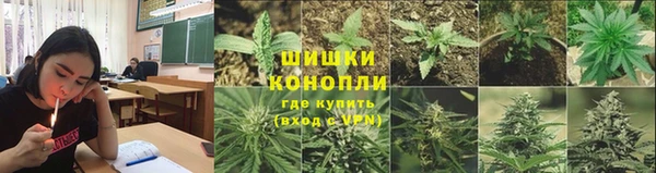первитин Вяземский
