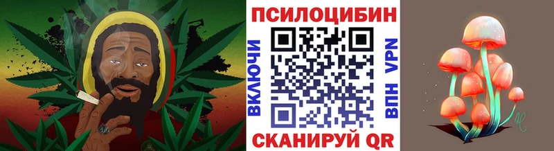 Псилоцибиновые грибы Cubensis  купить закладку  Петровск 
